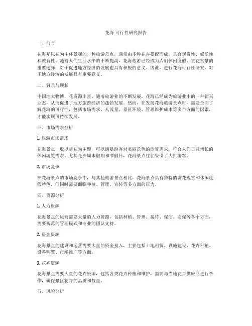 花海 可行性研究报告