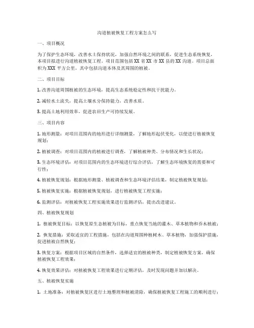沟道植被恢复工程方案怎么写