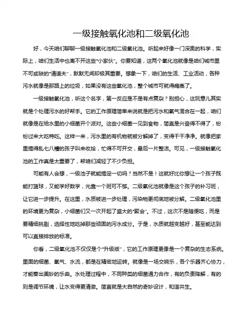 一级接触氧化池和二级氧化池