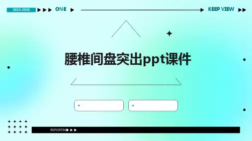 腰椎间盘突出ppt课件