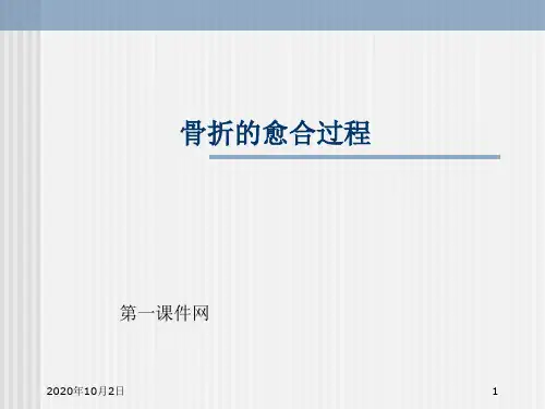 中医伤科学-骨折愈合过程PPT课件