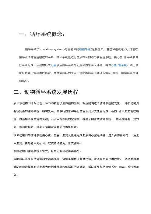 动物循环系统