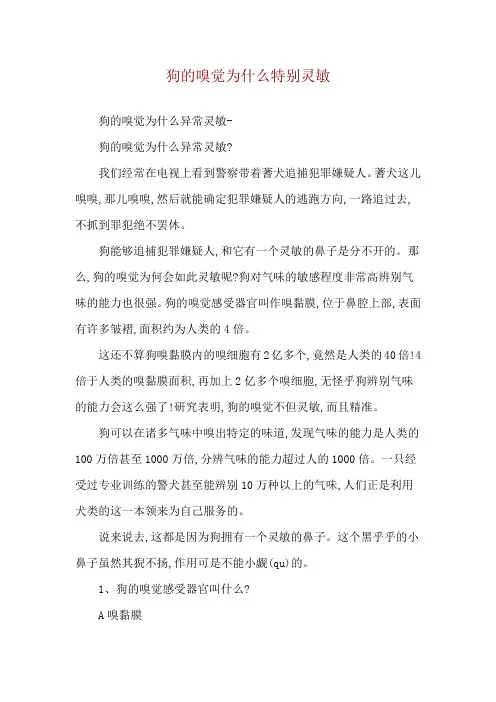 狗的嗅觉为什么特别灵敏
