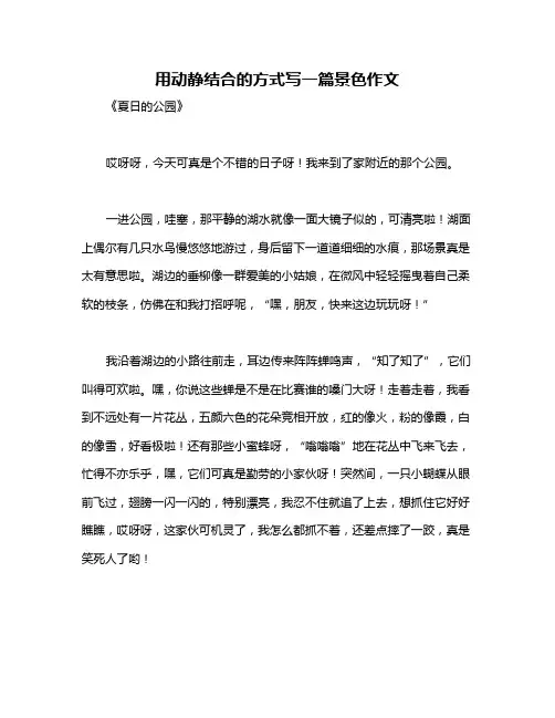 用动静结合的方式写一篇景色作文