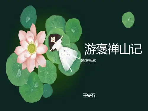 游褒禅山记PPT课件