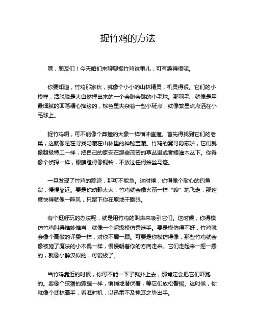 捉竹鸡的方法