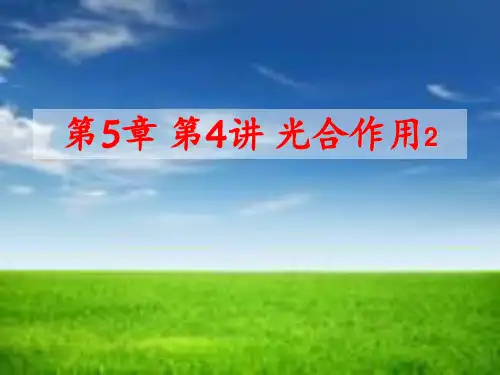 高中生物必修一一轮复习-光合作用PPT课件