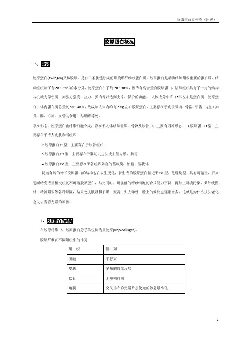 胶原蛋白知识详解