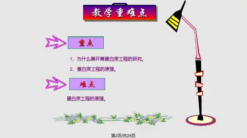 蛋白质工程上课