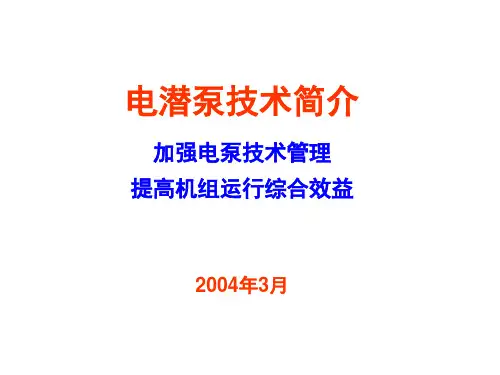 电潜泵简介1