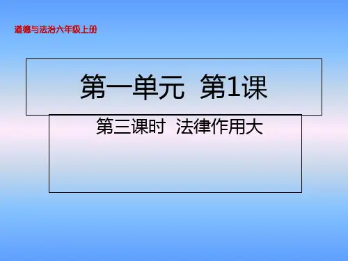 第1课第3课时法律作用大课件(20张PPT)