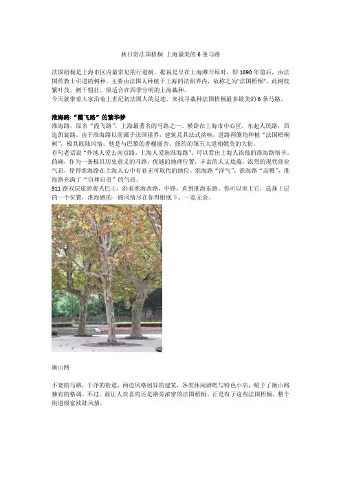 秋日赏法国梧桐 上海最美的6条马路