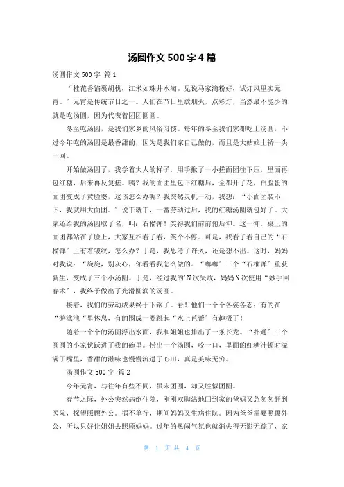 汤圆作文500字4篇