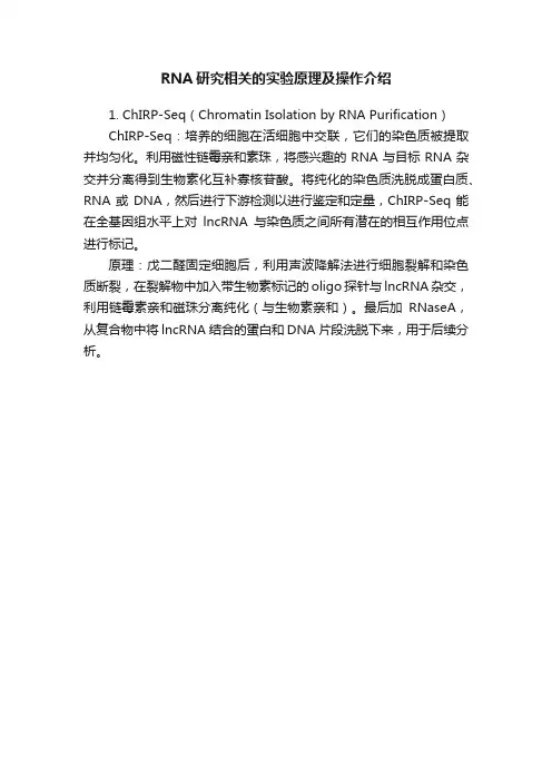 RNA研究相关的实验原理及操作介绍