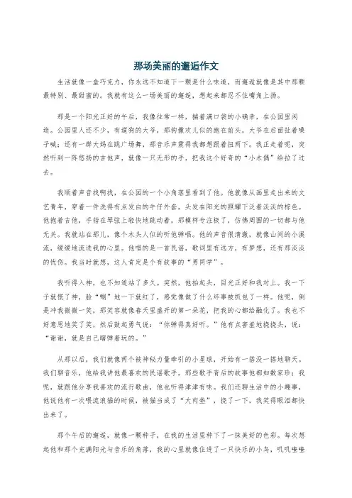 那场美丽的邂逅作文