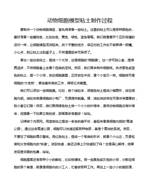 动物细胞模型粘土制作过程