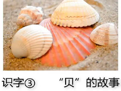 二年级下册语文课件-识字三 贝的故事 人教部编版(共51张PPT)