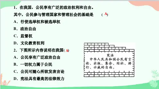 八下3.1公民基本权利习题课件共15张PPT