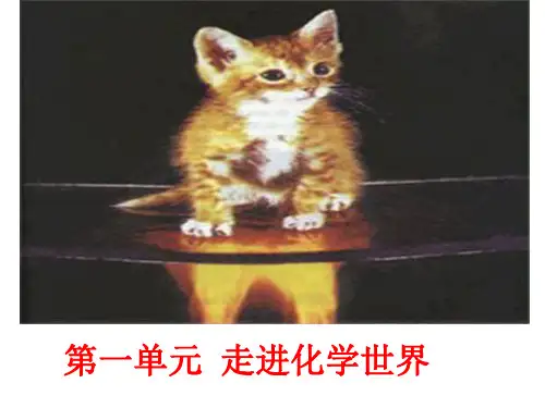 人教版九年级上册化学课件：1.1物质的变化与性质(共32张PPT)