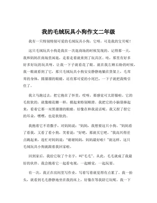 我的毛绒玩具小狗作文二年级