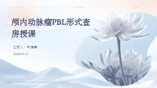 颅内动脉瘤PBL形式查房授课PPT