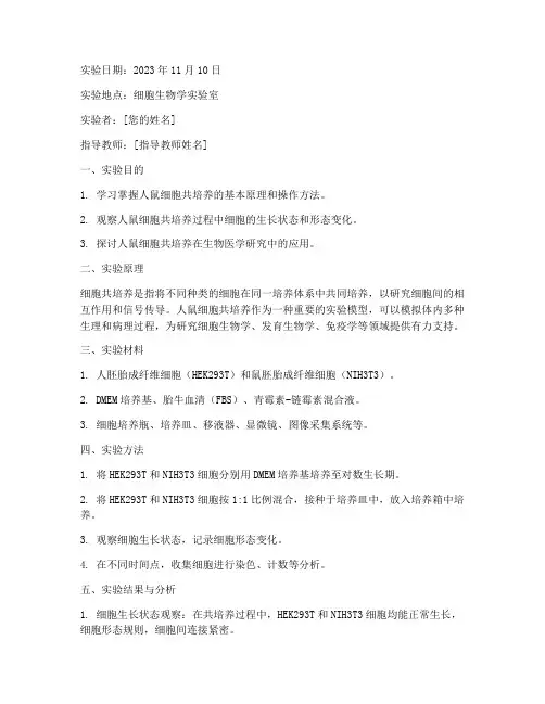 人鼠细胞实验报告