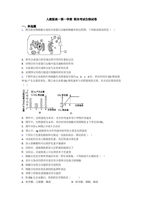 人教版高一第一学期 期末考试生物试卷