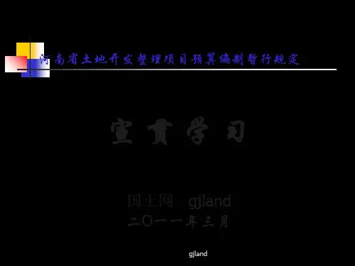 河南省土地开发整理项目预算编制暂行规定 共90页