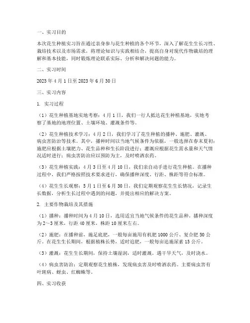 花生种植实习报告