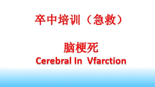 总结卒中培训.pptx