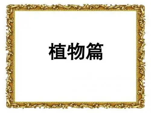 神奇的大自然ppt 共88页