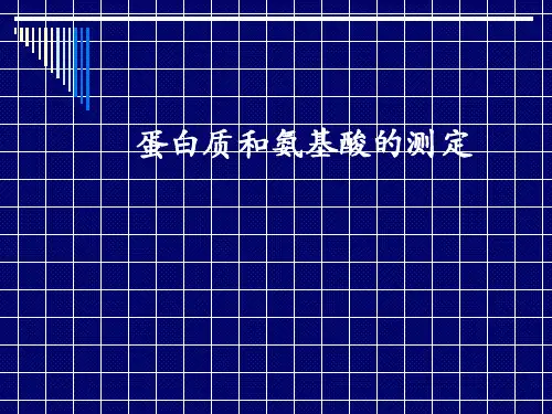 蛋白质氨基酸测定