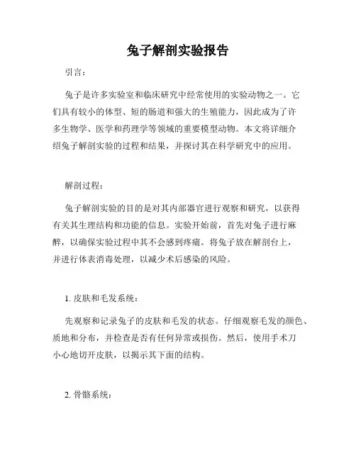 兔子解剖实验报告
