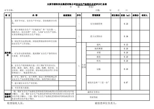 新标准化总打分表
