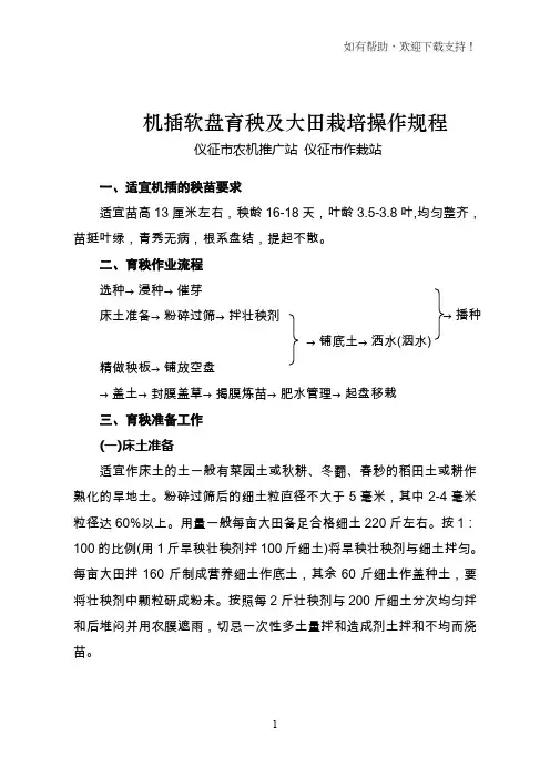 机插软盘育秧及大田栽培操作规程