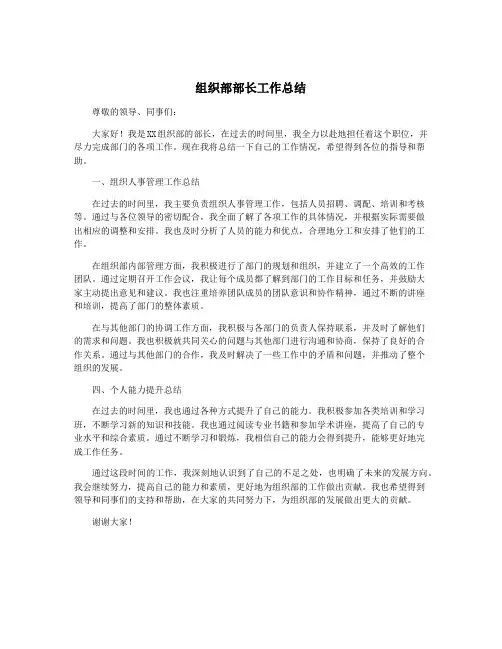 组织部部长工作总结