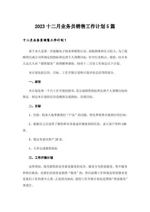 2023十二月业务员销售工作计划5篇