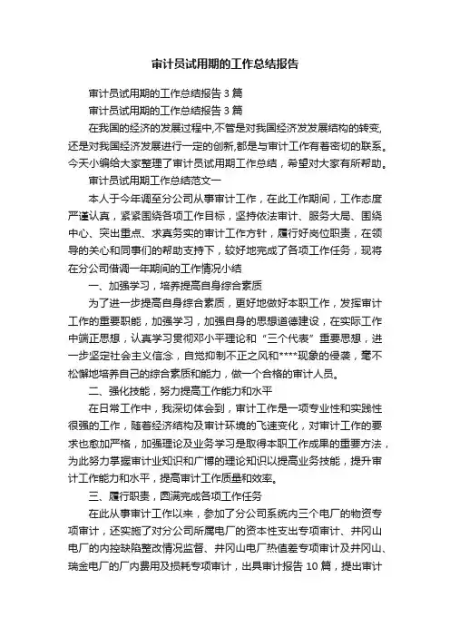 审计员试用期的工作总结报告3篇