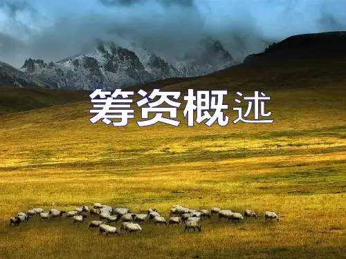 第四章筹资概述