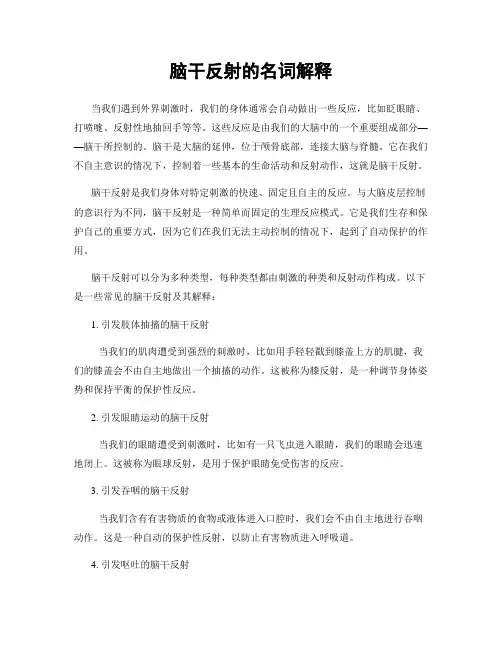 脑干反射的名词解释