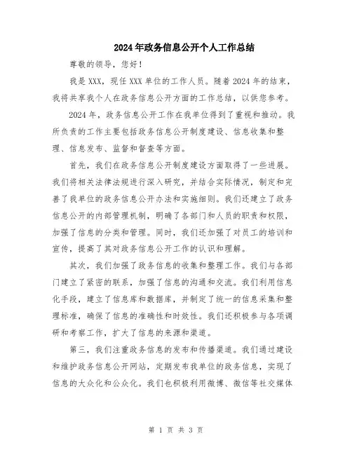 2024年政务信息公开个人工作总结