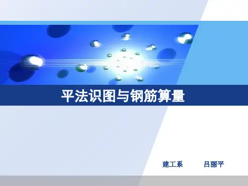 (精)钢筋平法识图与钢筋算量