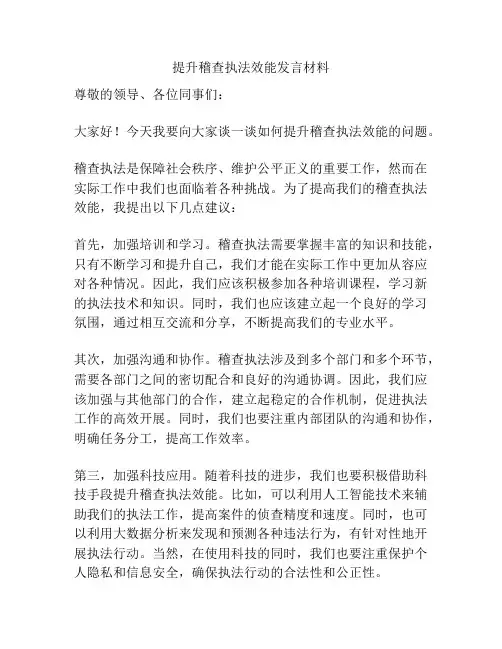 提升稽查执法效能发言材料