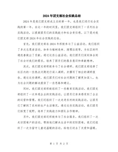 2024年团支部社会实践总结