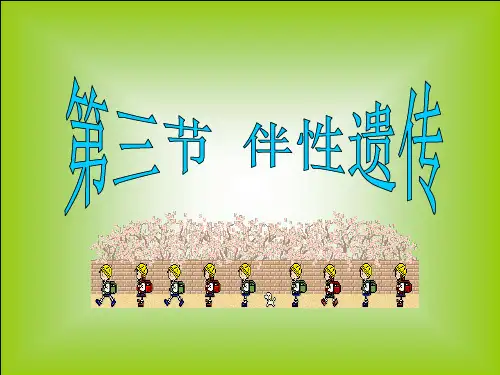 高中生物必修二 人教版高中生物必修二课件2.3伴性遗传
