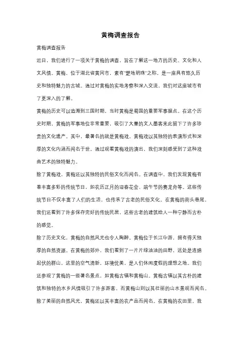 黄梅调查报告