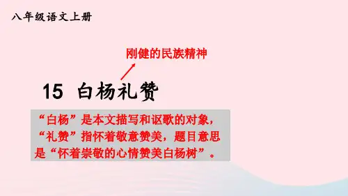 15 白杨礼赞【考点精讲版】
