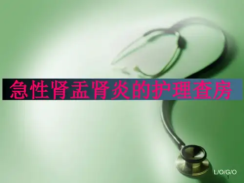 急性肾盂肾炎护理查房PPT课件