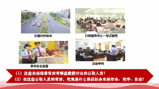 《夯实法治基石》PPT课件