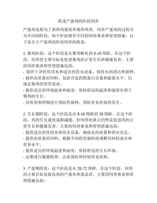 简述产蛋鸡的阶段饲养